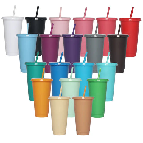 24fl oz  Cold Cups with Lid and Straw